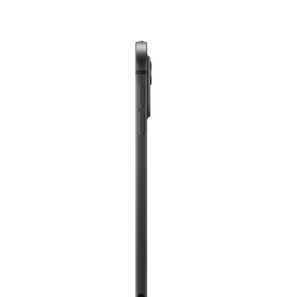 iPad Pro 11 Chip M4 semi nuevo - Negro Espacial