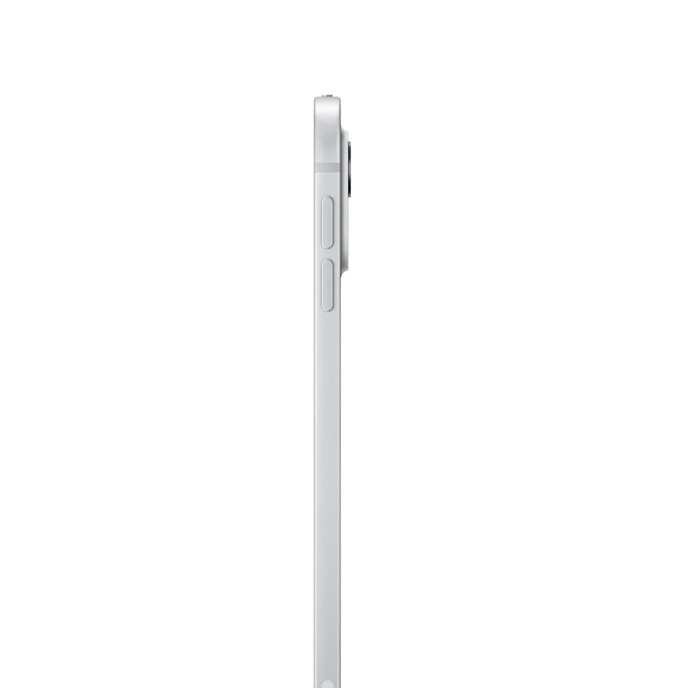 iPad Pro 11 Chip M4 semi nuevo - Plata